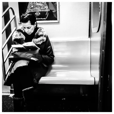 Photograph 118 from F TRAIN LOVESEATS