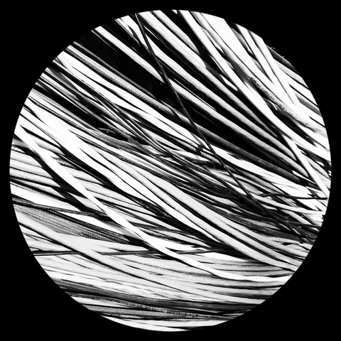 Photograph 49 from THE BLACK HOLE