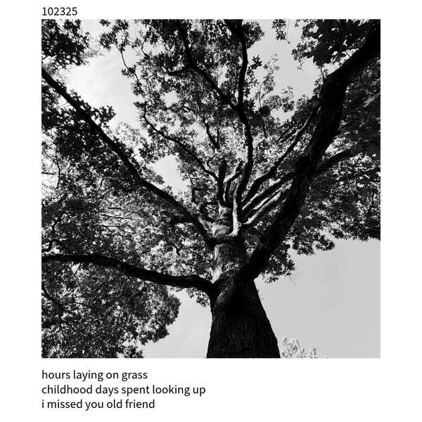 The Cuckoo Haiku — October 23, 2025
