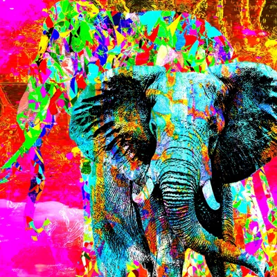 Pachyderm digital collage